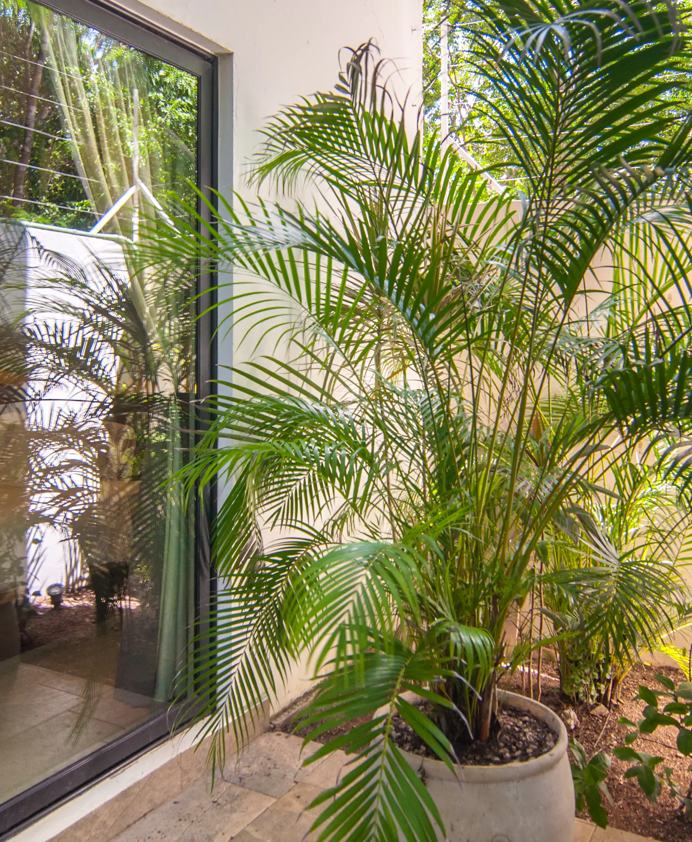 Naj Kiin Naj Kiin Tulum 01