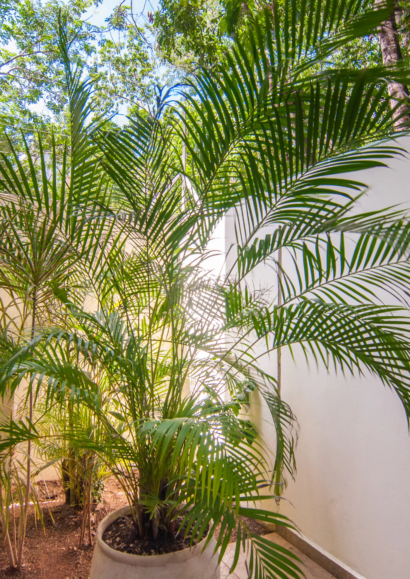 Naj Kiin Naj Kiin Tulum 01