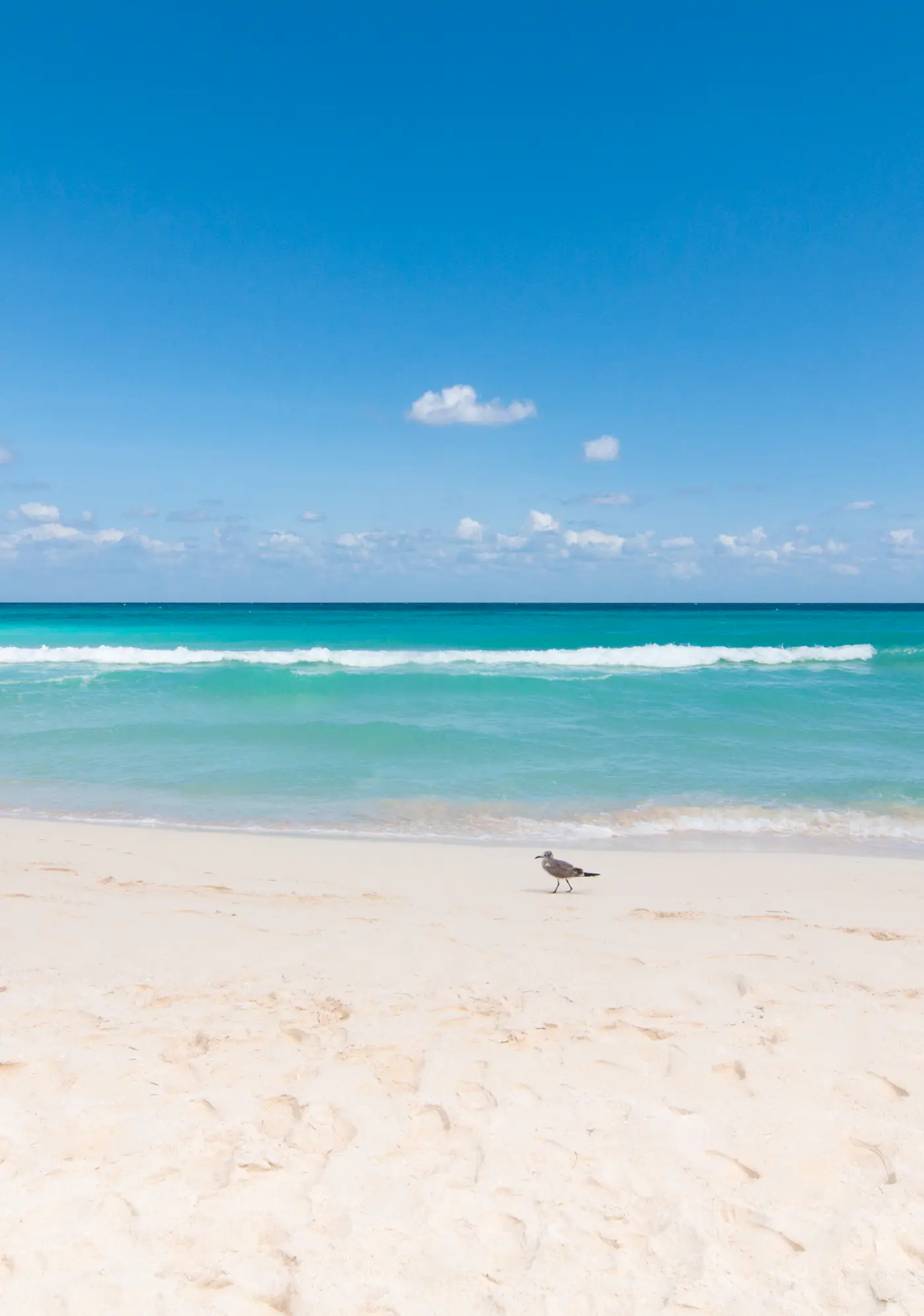 Solymar Solymar Cancun 1610