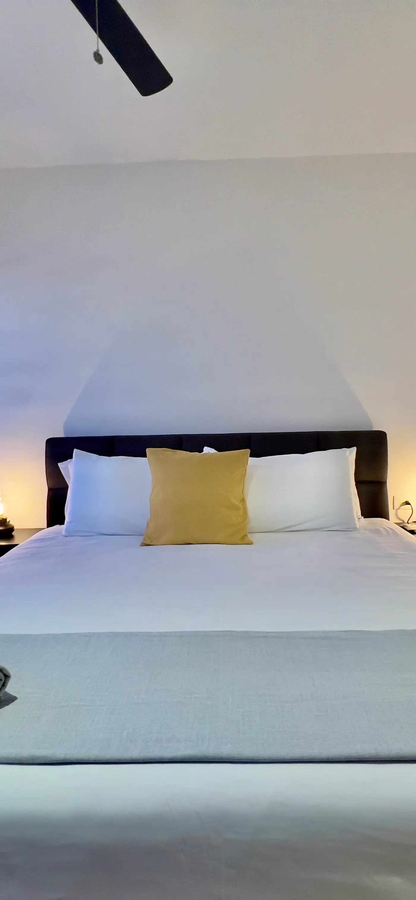 Ipana Condos Ipana Condos D 503