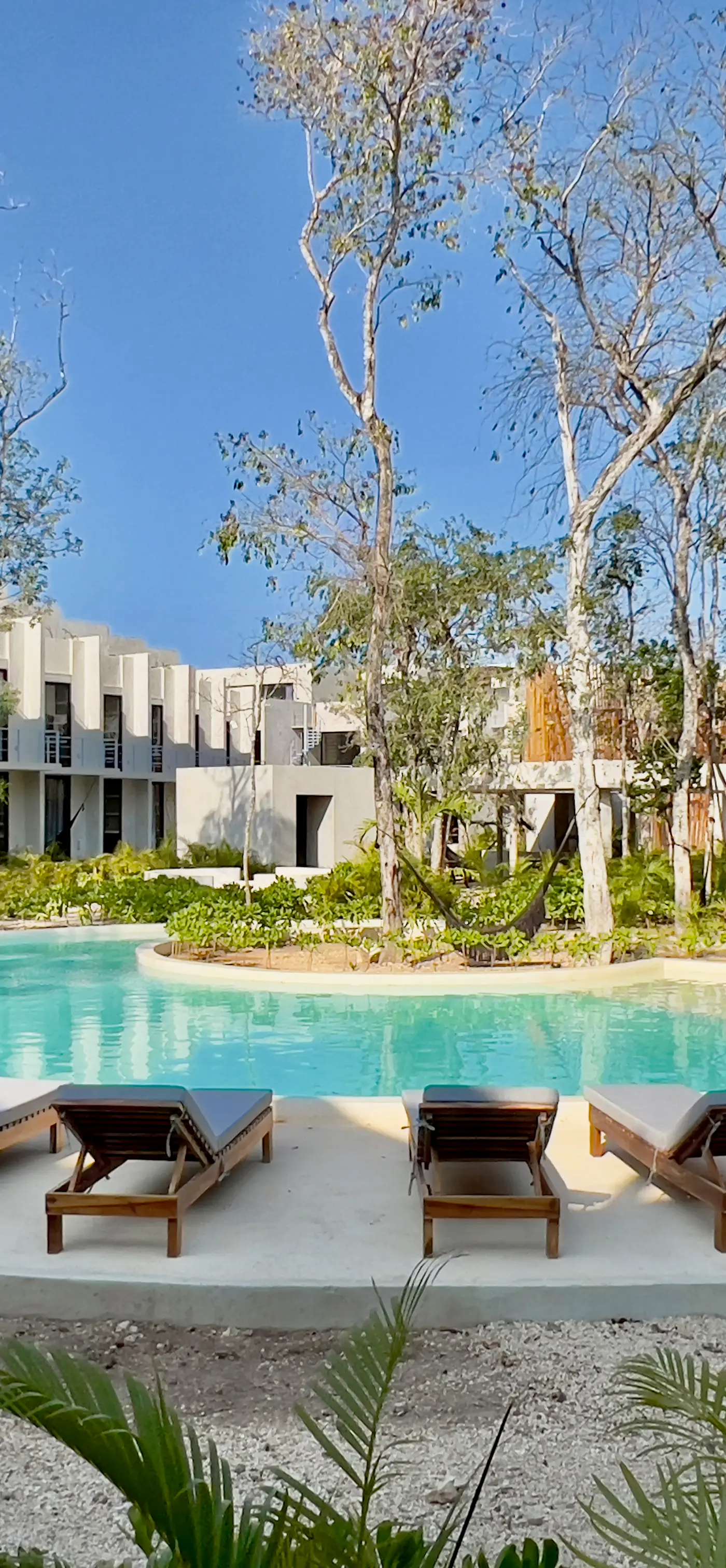 Seremonia Selva Seremonia Selva 203, T2