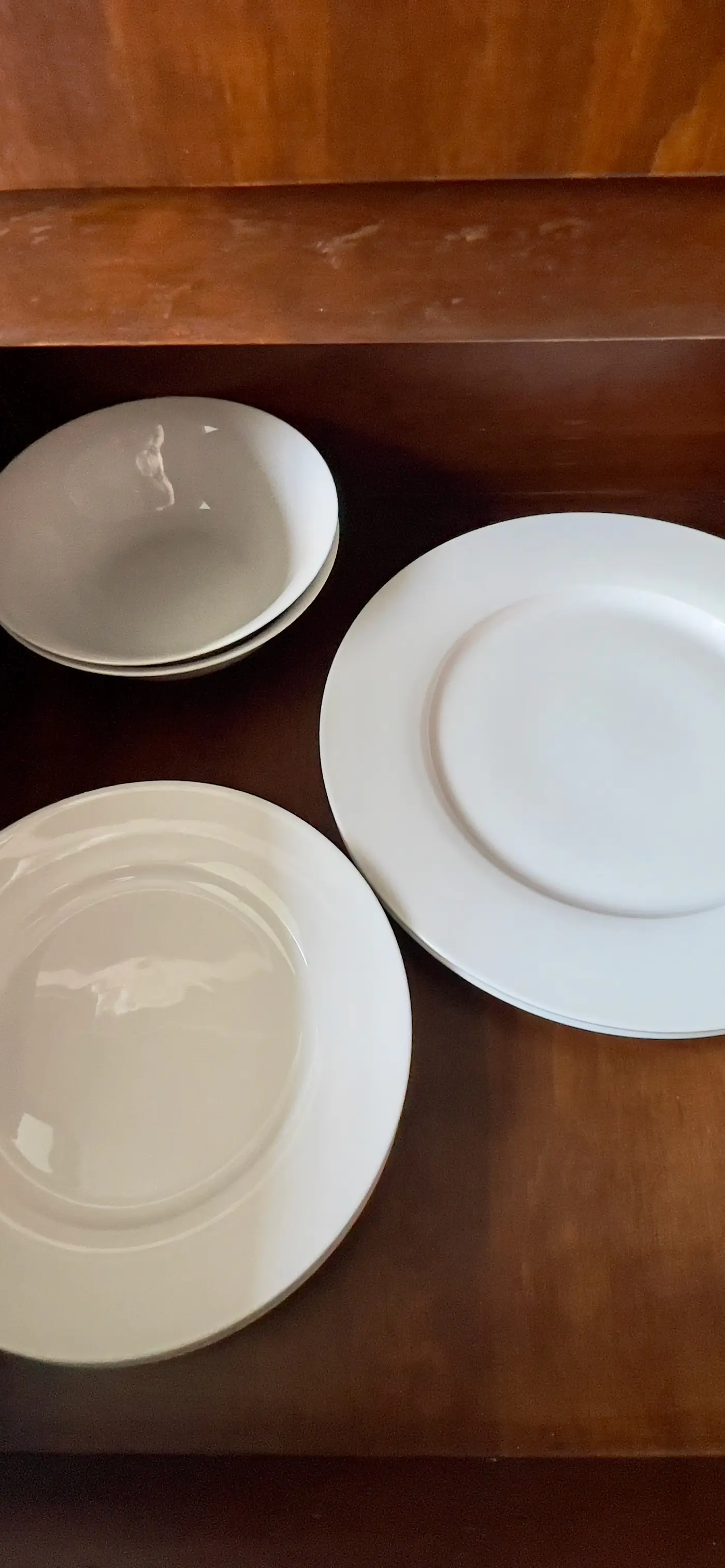 Seremonia Selva Seremonia Selva 203, T2