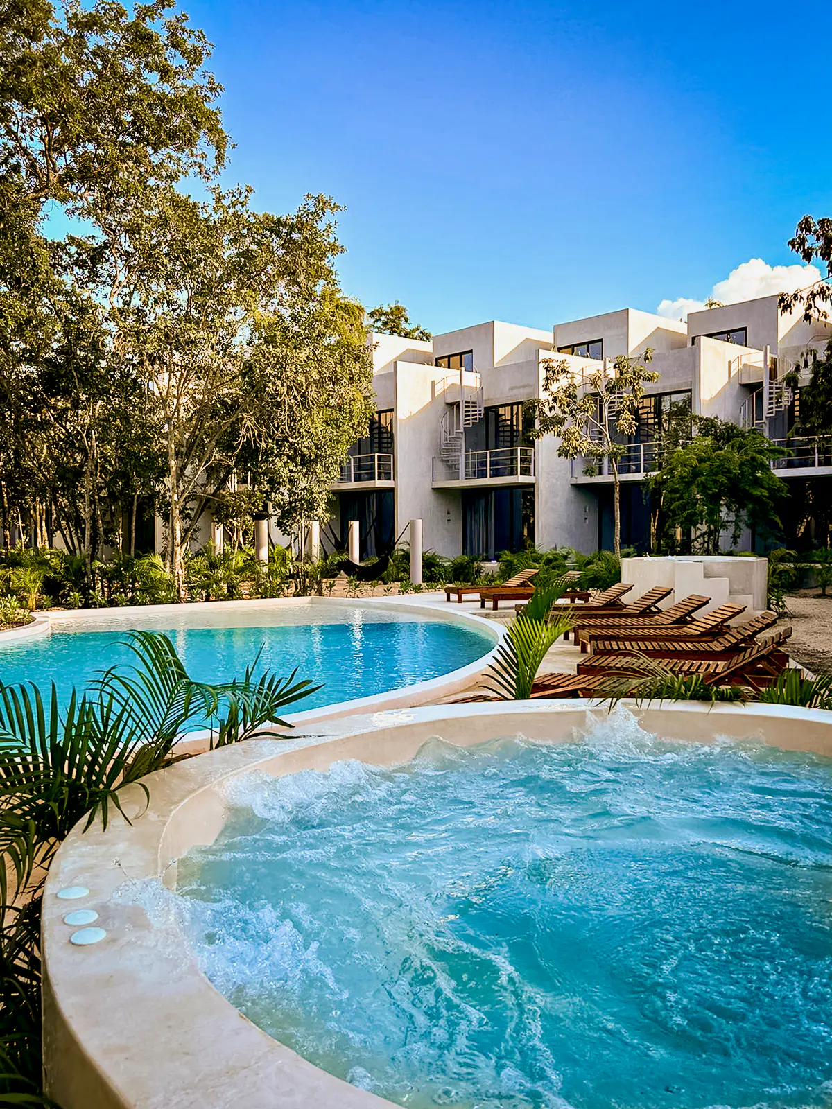 Seremonia Selva Seremonia Selva 203, T2