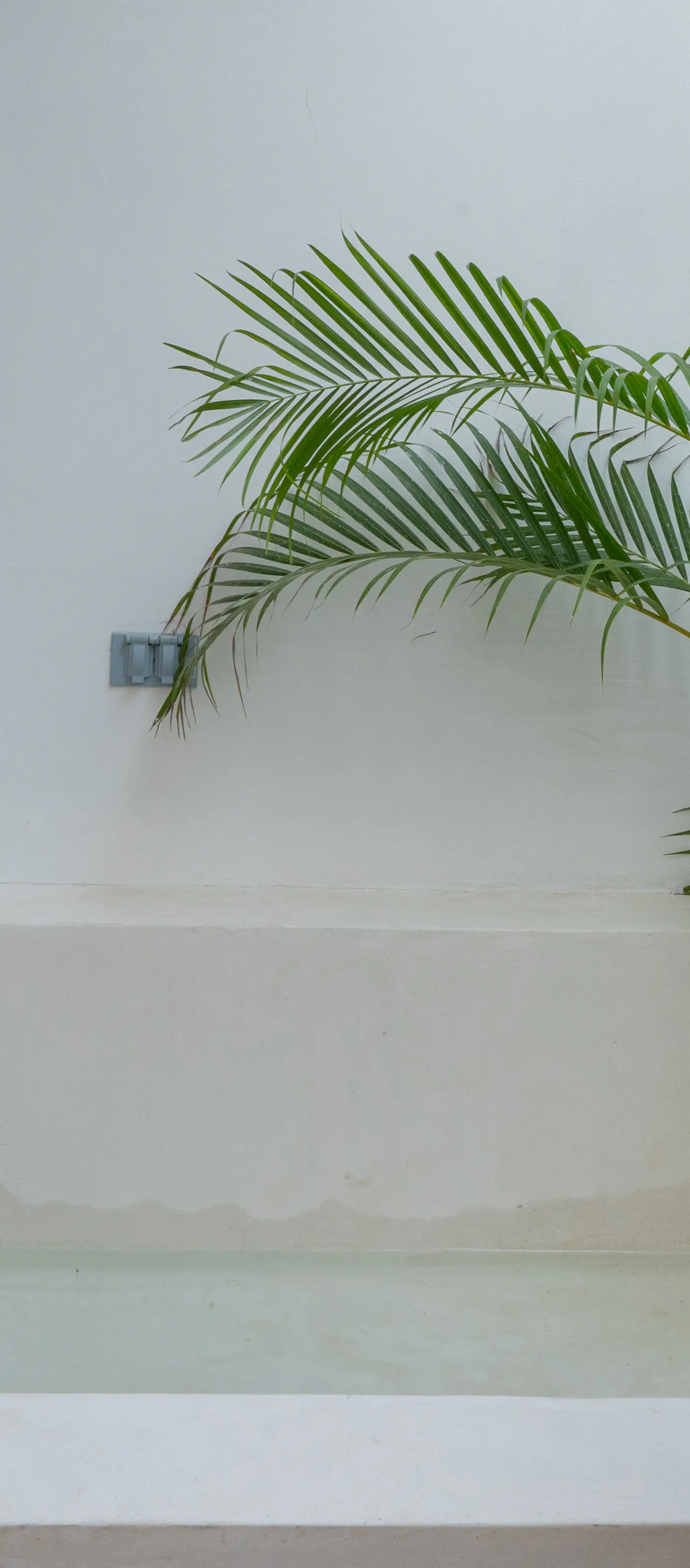 Muuk Tulum Muuk Tulum, 110