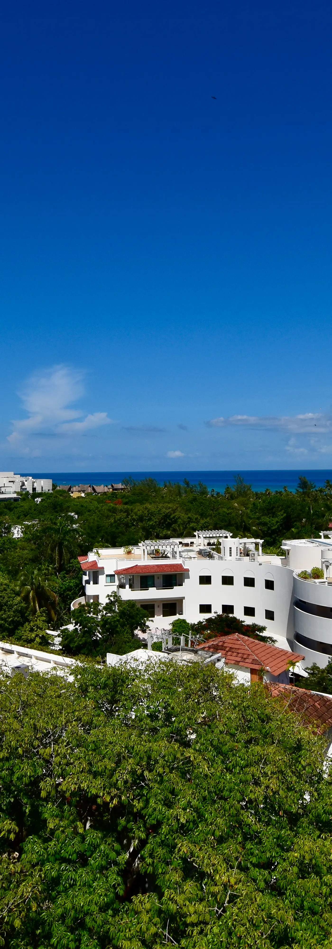 My Menesse in Playa My Menesse in Playa 106