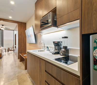 Paravian Paravian A303