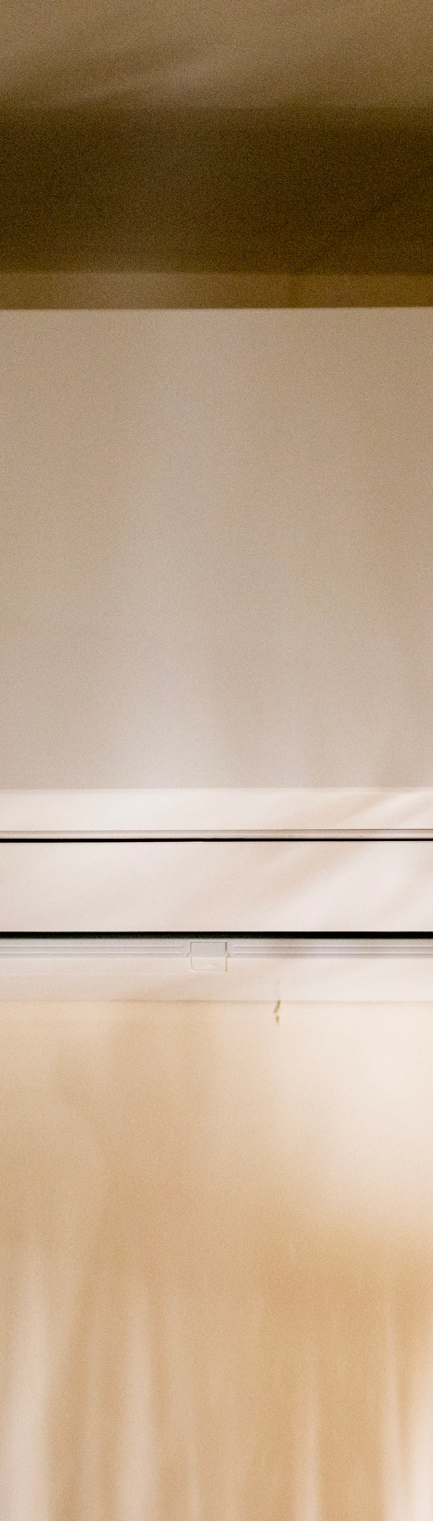 Paravian Paravian A303