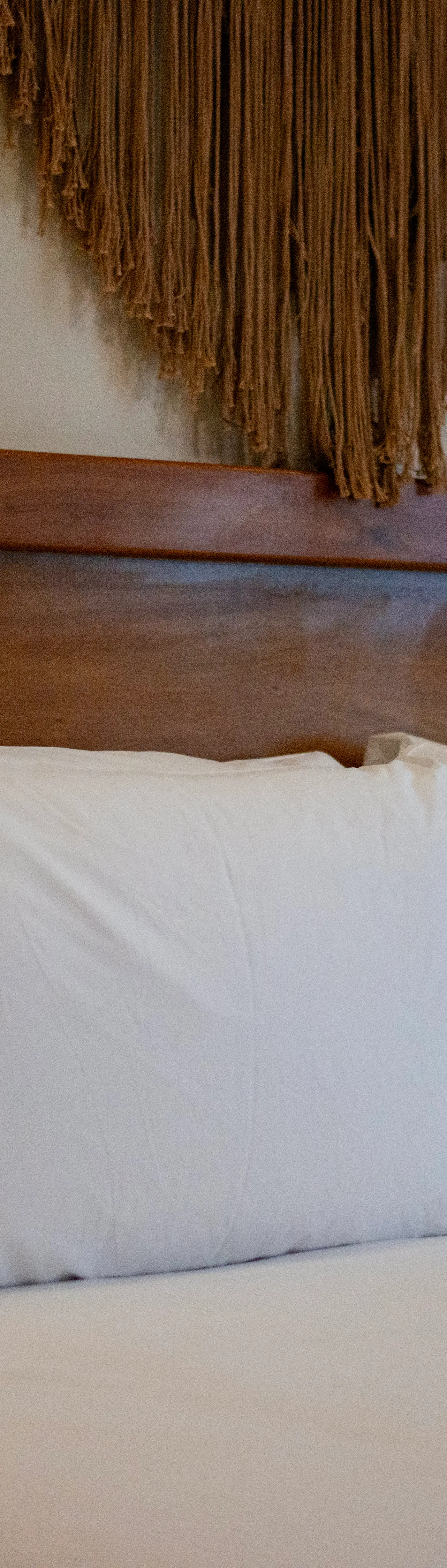 Paravian Paravian A303