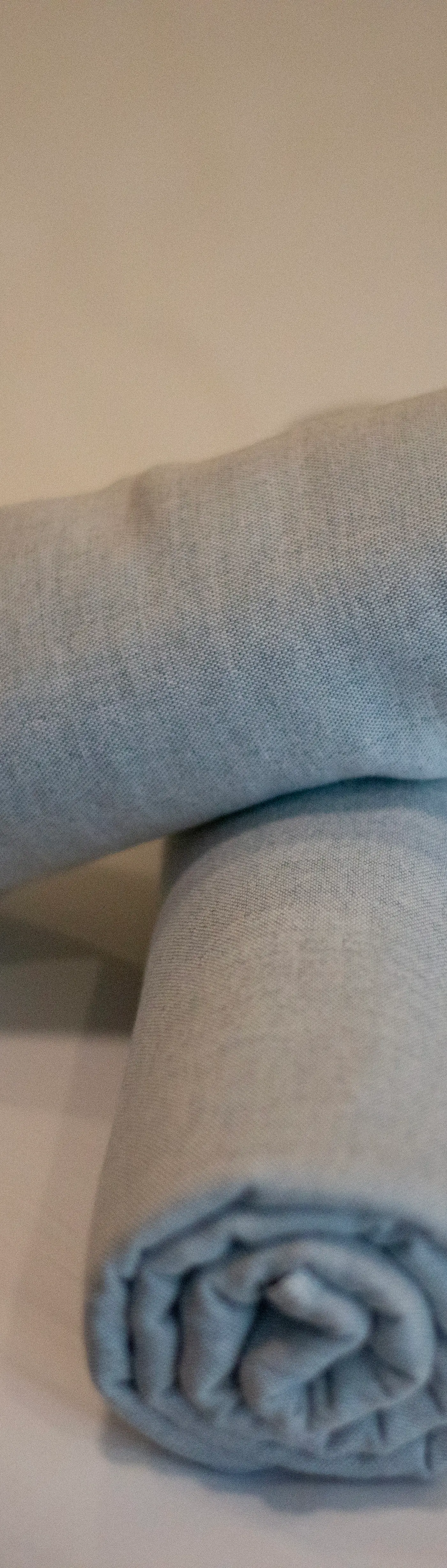 Paravian Paravian A303