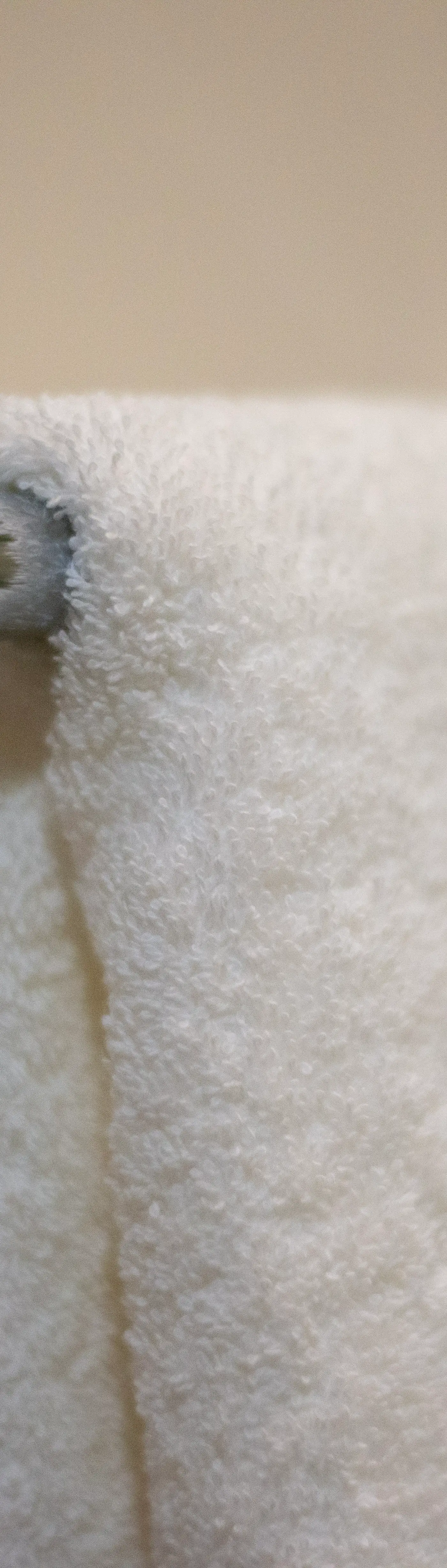 Paravian Paravian A303