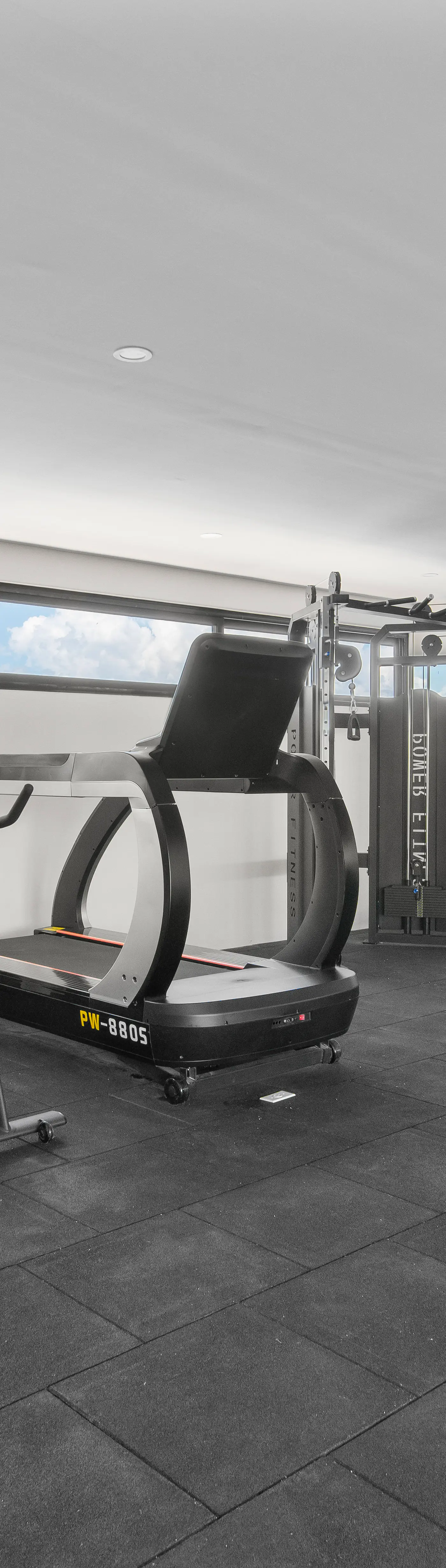 Paravian Paravian A303