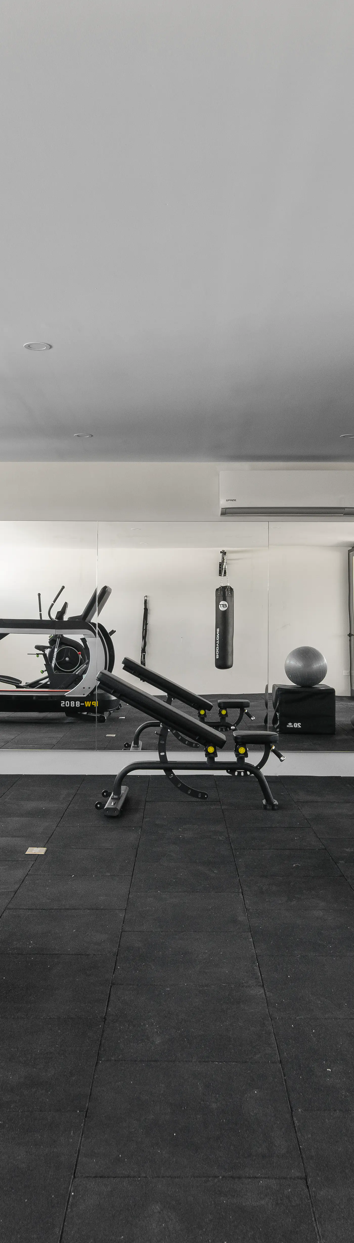 Paravian Paravian A303