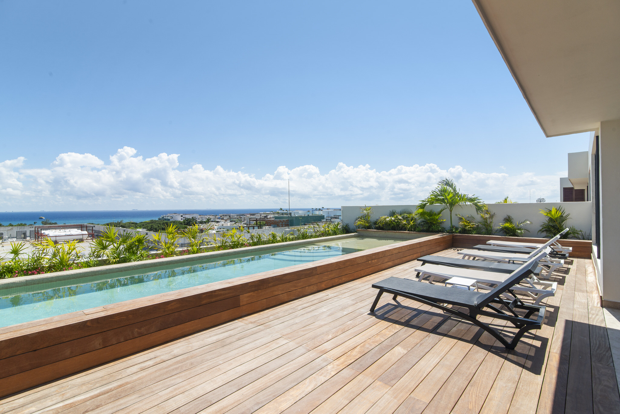 Paravian Paravian B703