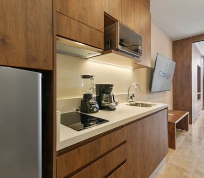 Paravian Paravian B503