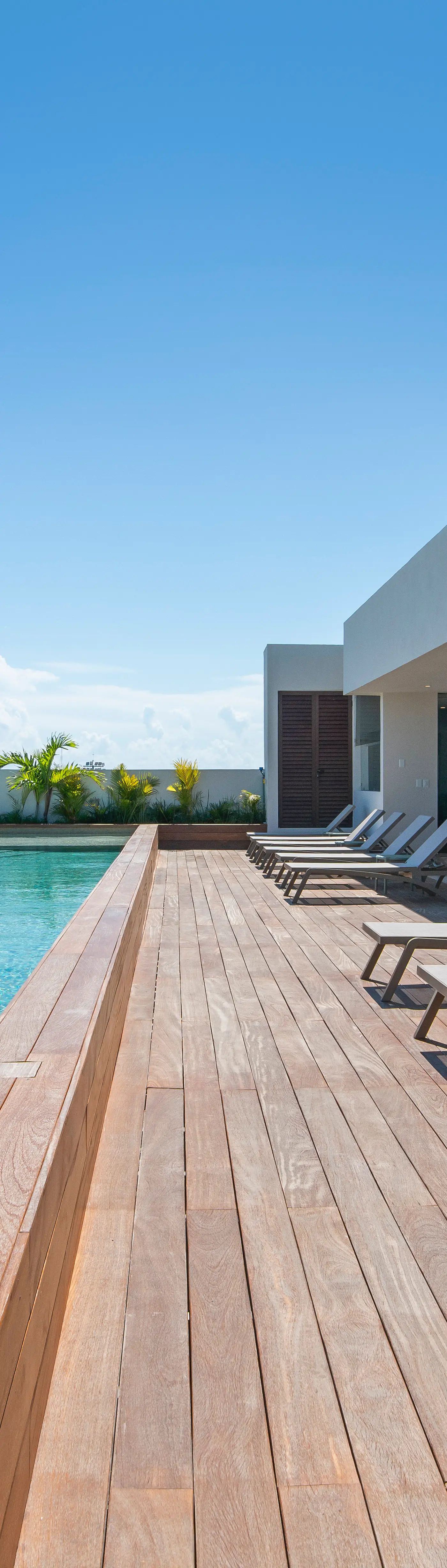 Paravian Paravian B503