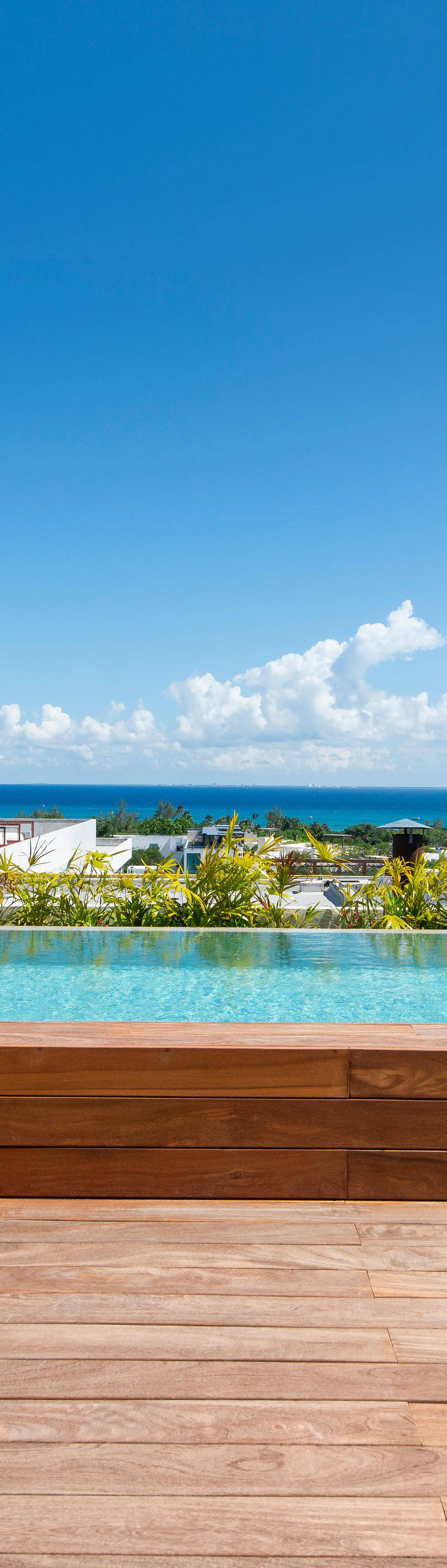 Paravian Paravian B503