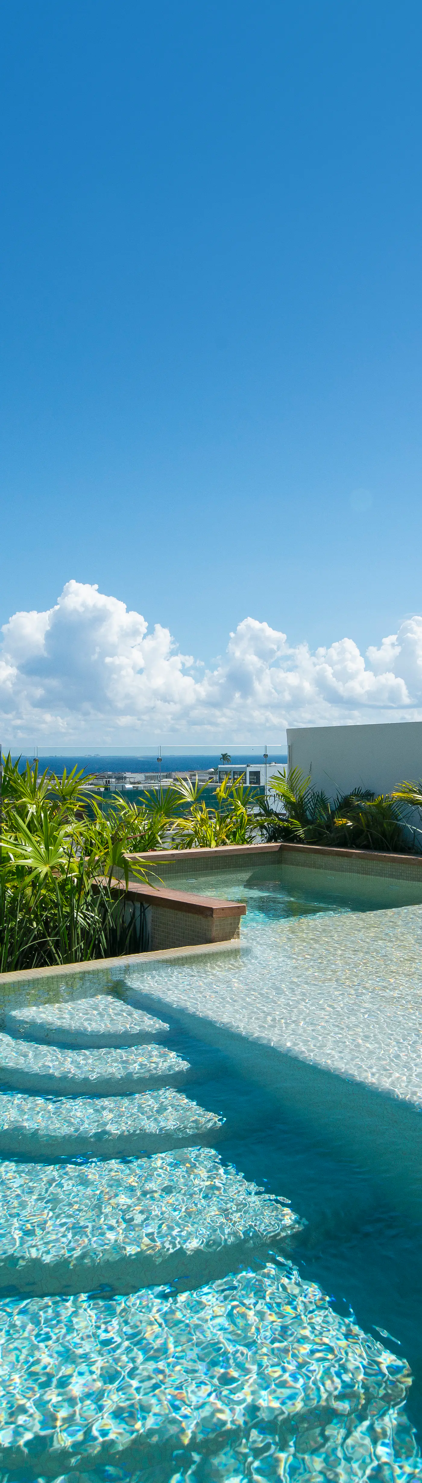 Paravian Paravian B503