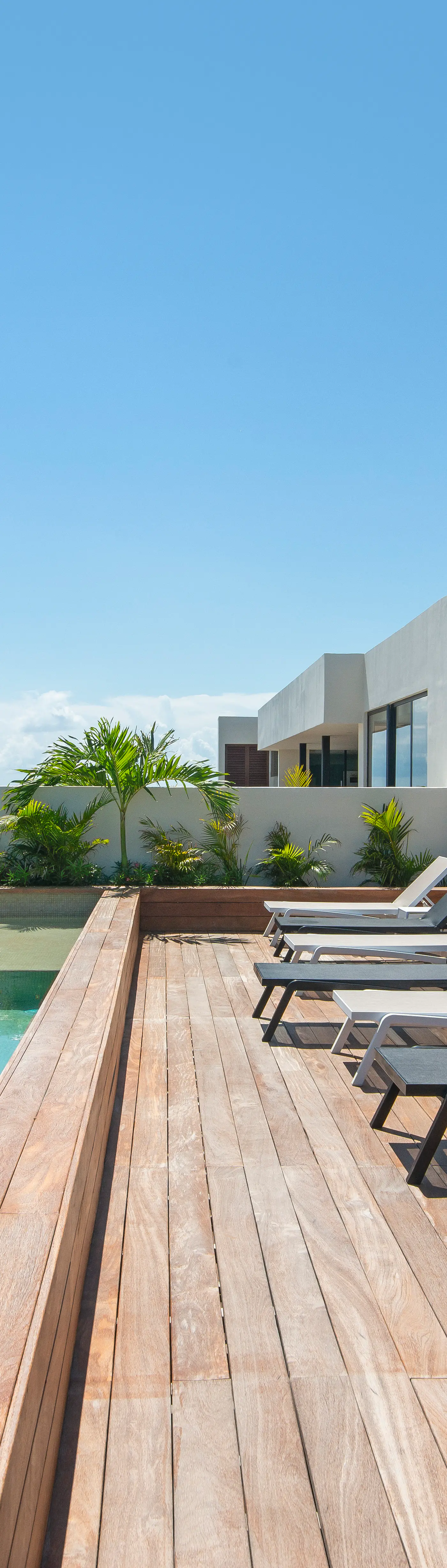 Paravian Paravian B503