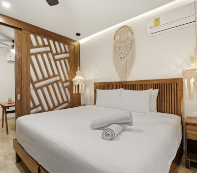 Paravian Paravian A201