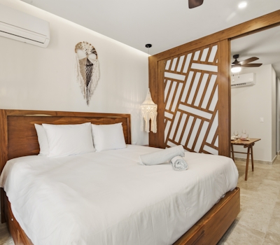 Paravian Paravian B303