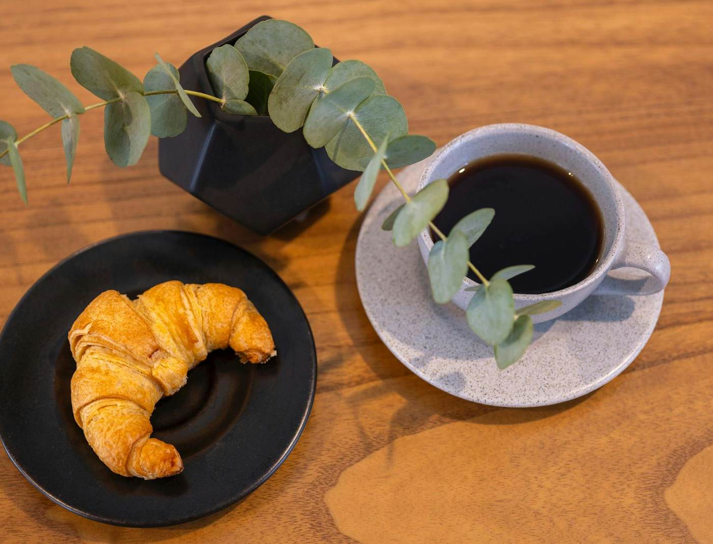 Viva Jaco Viva Jaco (10-06B)