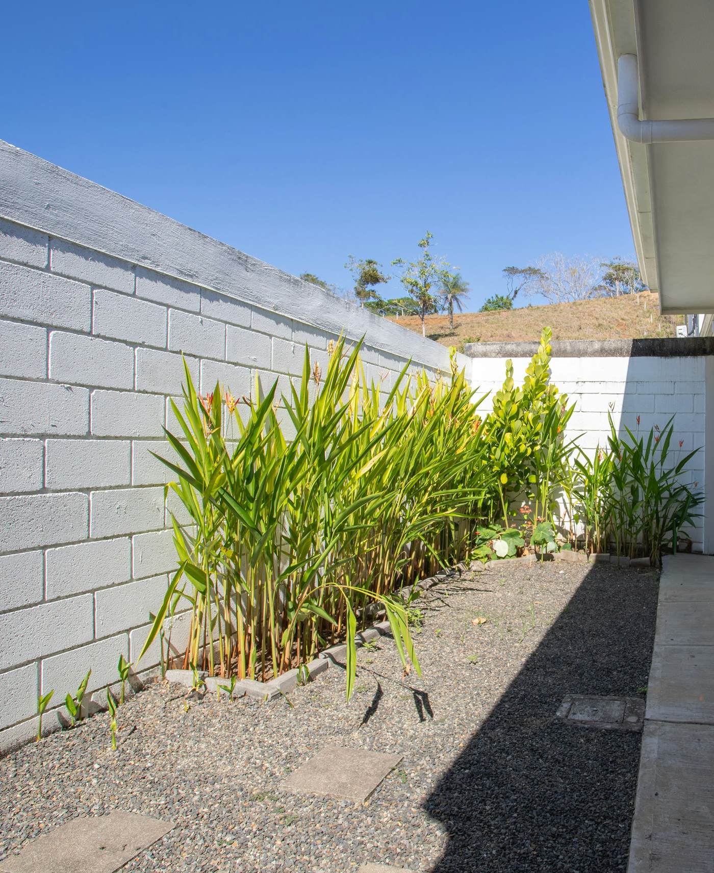 Casa Colibri- Arenas 154