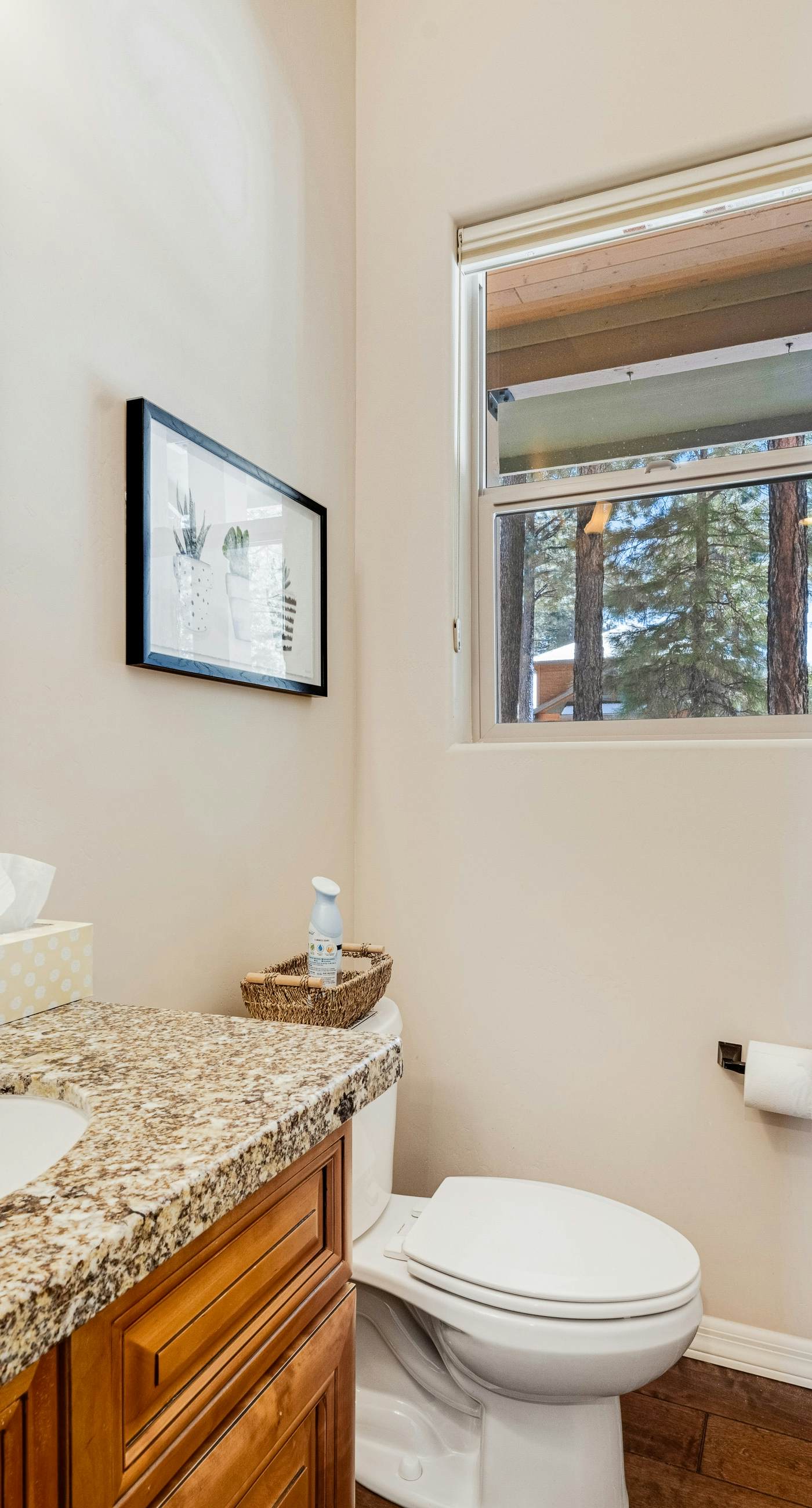 The Mountain View Retreat