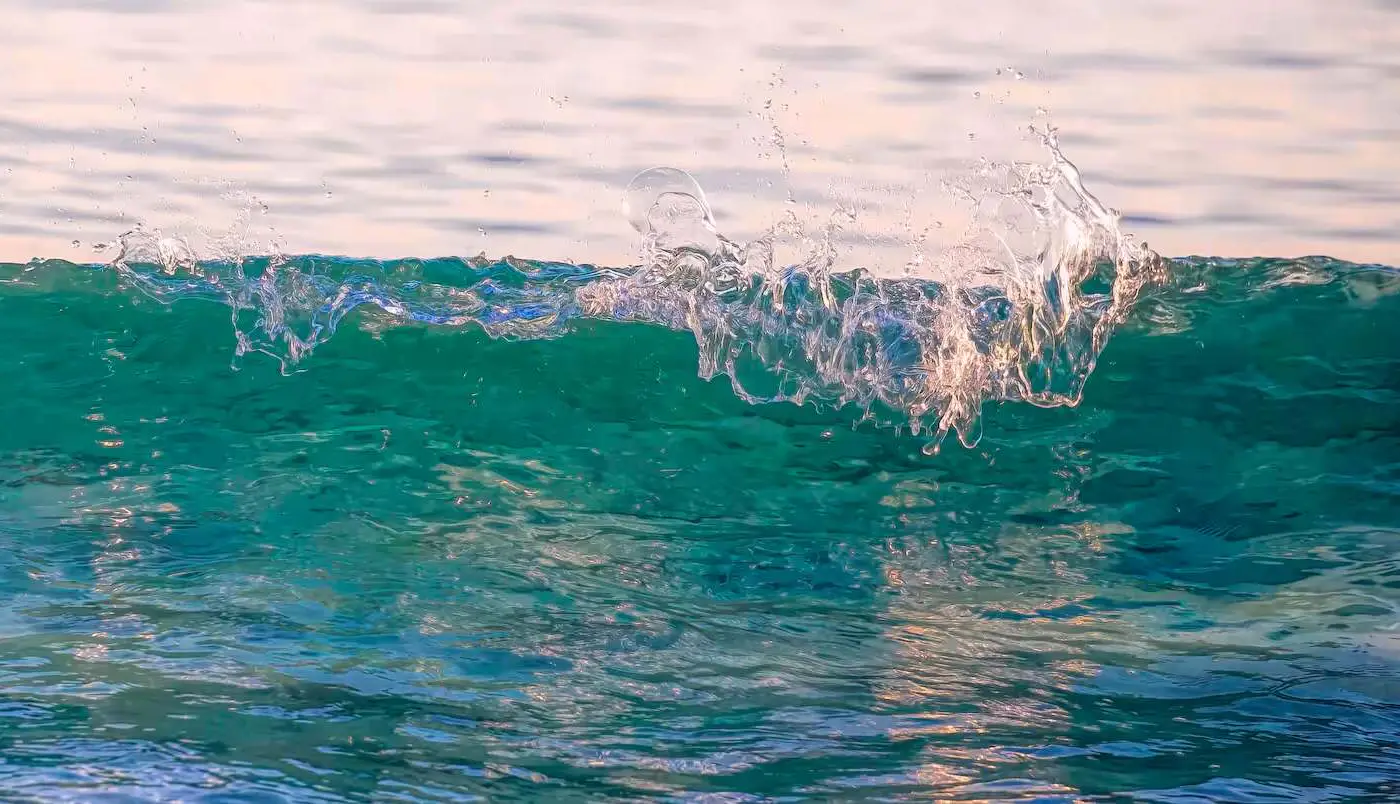 Beach side condo with shared pool, gym and tennis