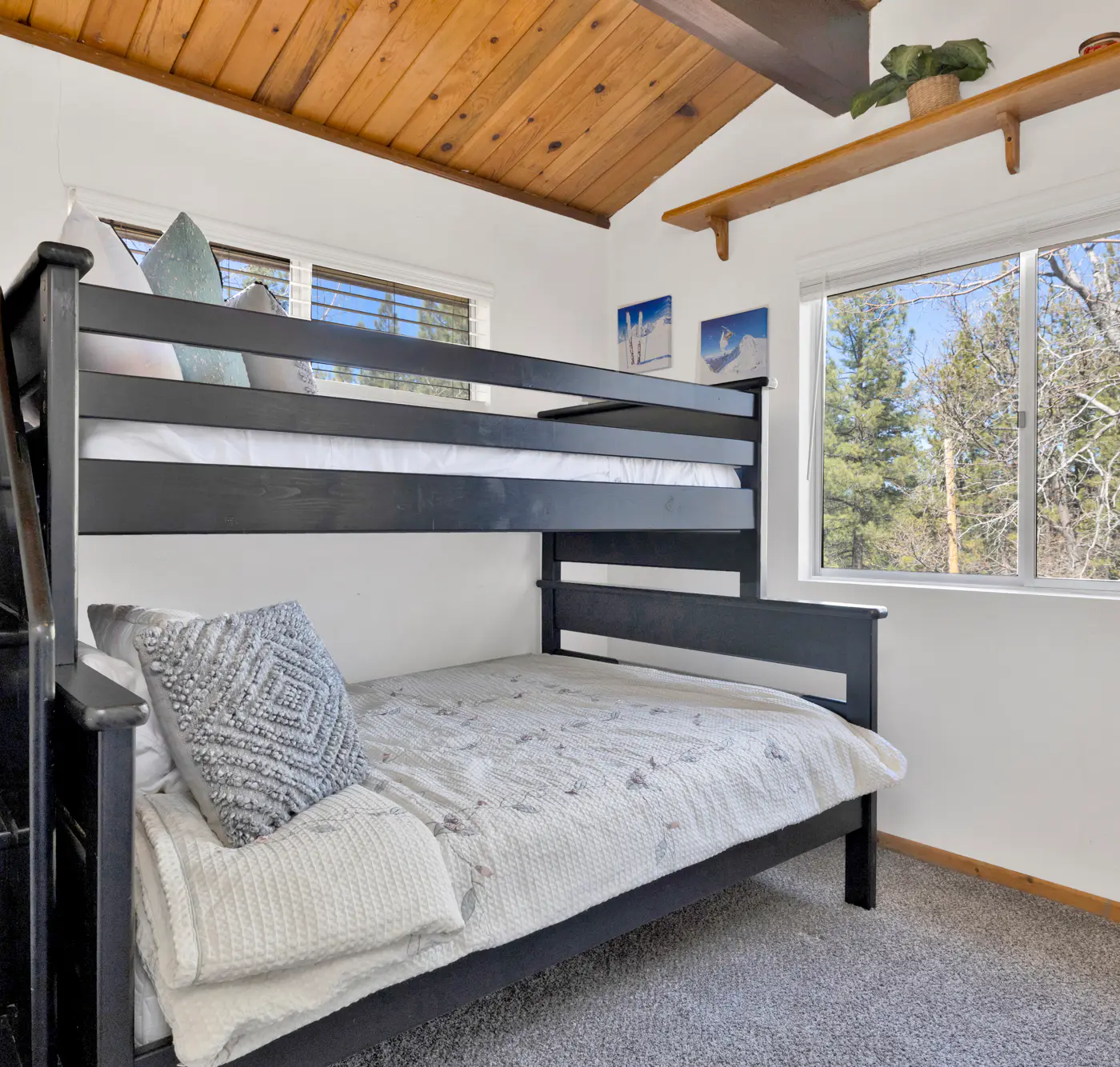 2655 - Moonlight Manor