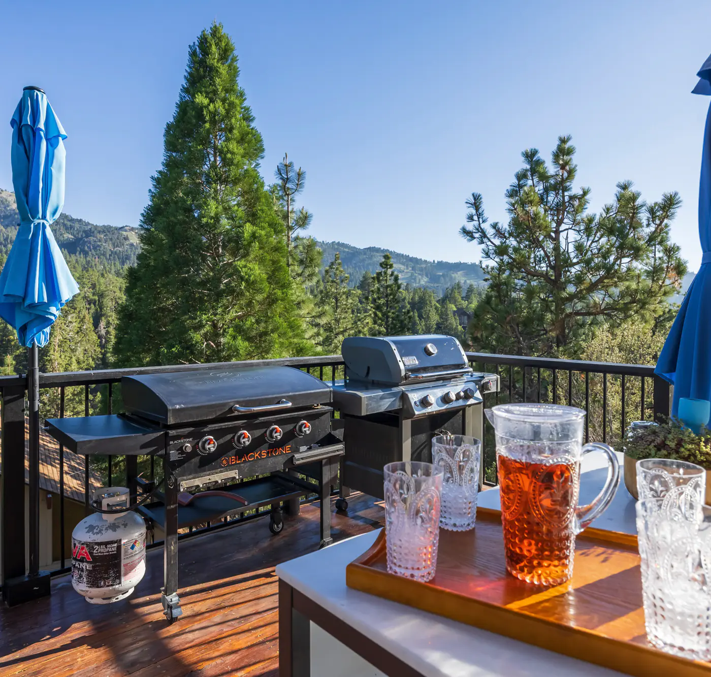 2654- Canyon Crest Ski View Chalet