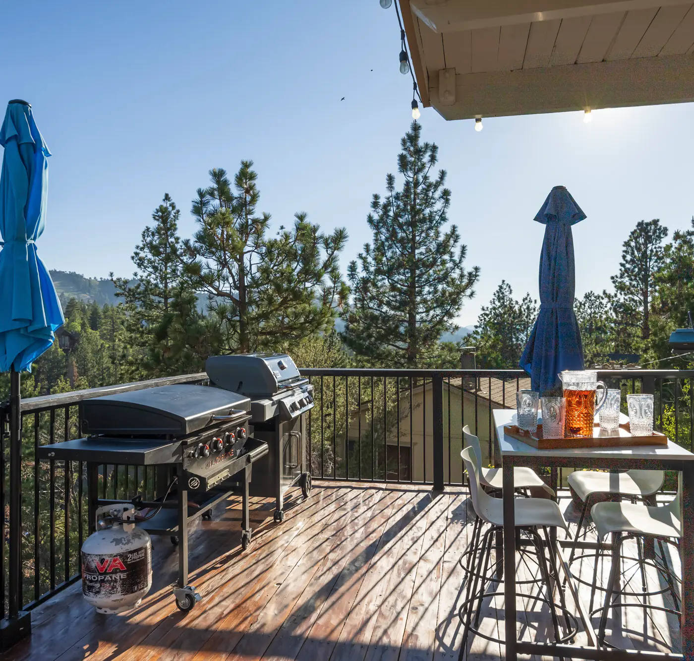 2654- Canyon Crest Ski View Chalet