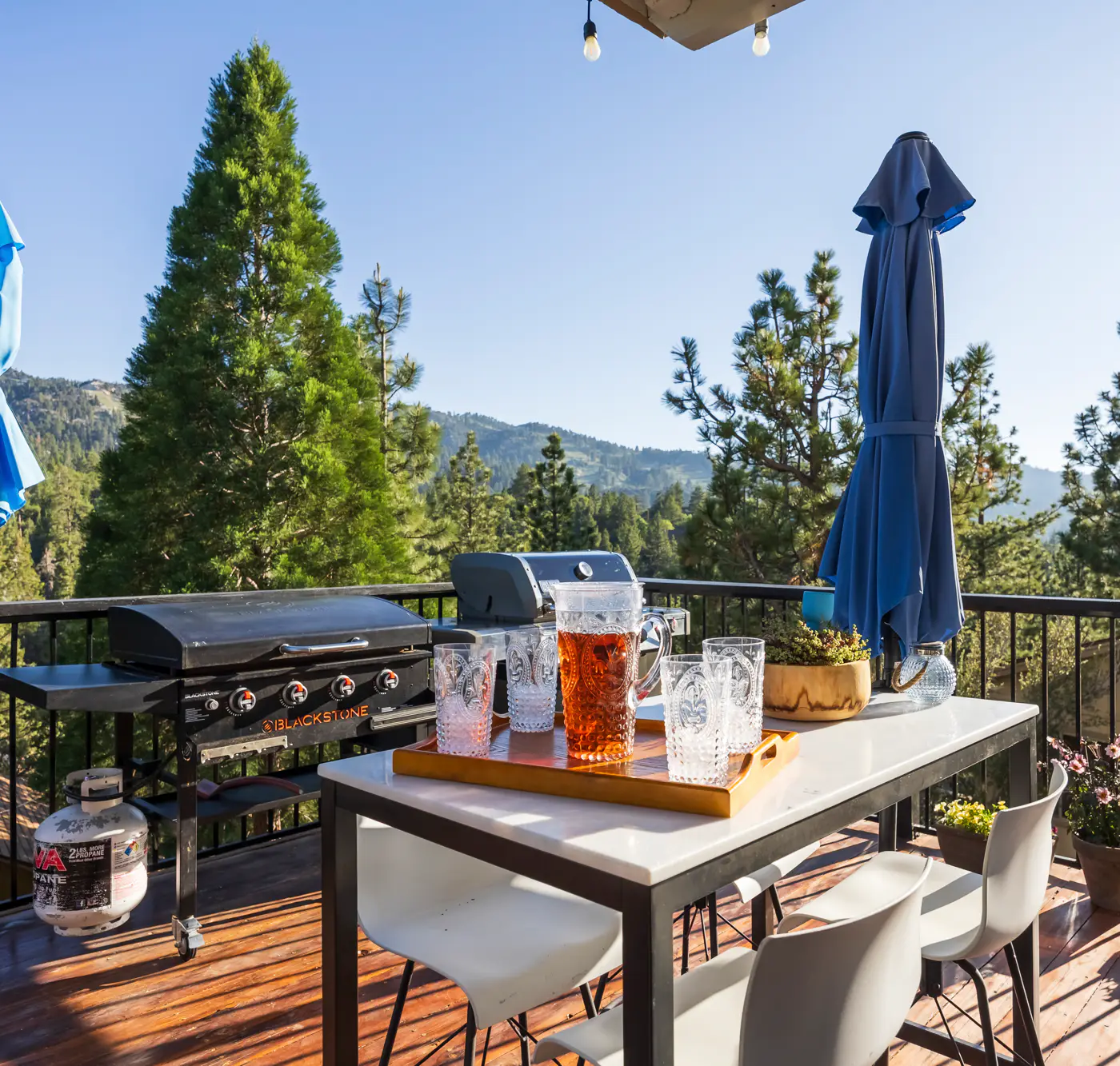 2654- Canyon Crest Ski View Chalet