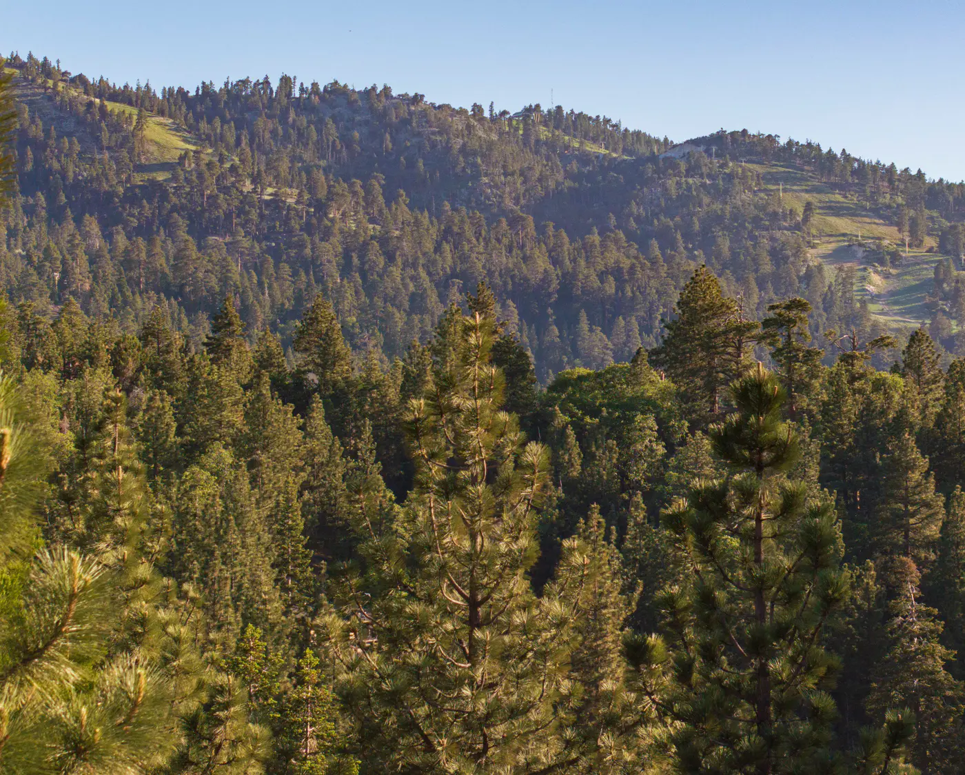 2654- Canyon Crest Ski View Chalet