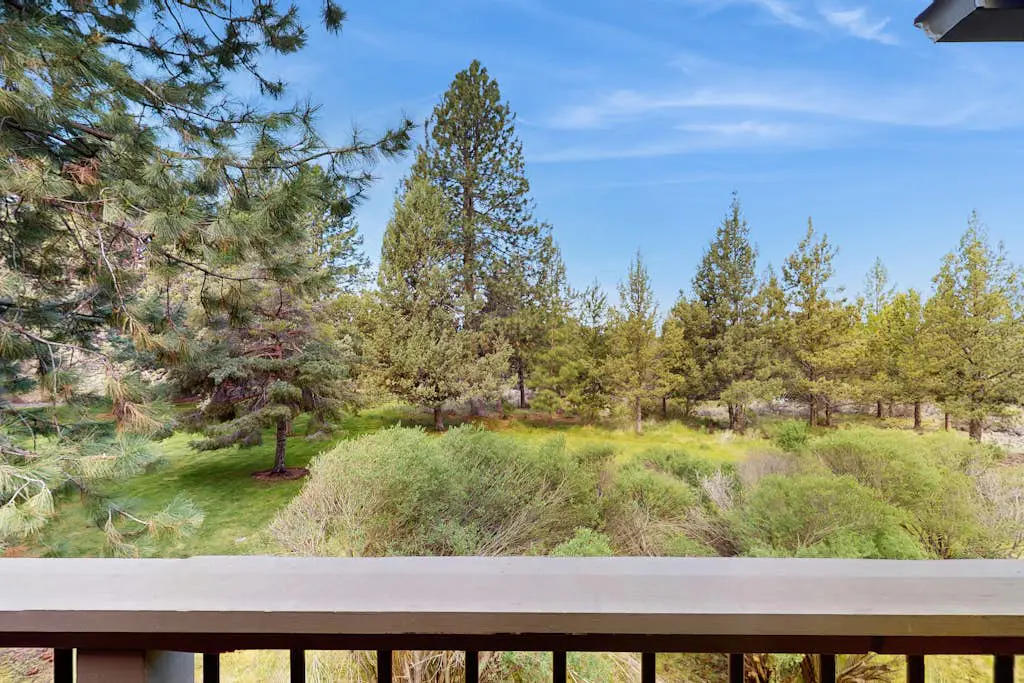 Adventures in Mount Bachelor #241