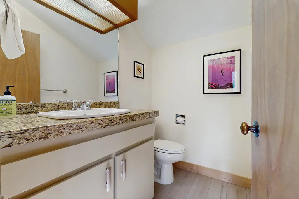 Adventures in Mount Bachelor #241