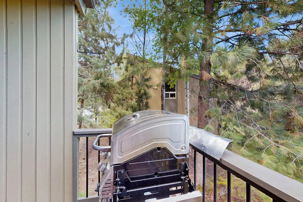 Adventures in Mount Bachelor #241