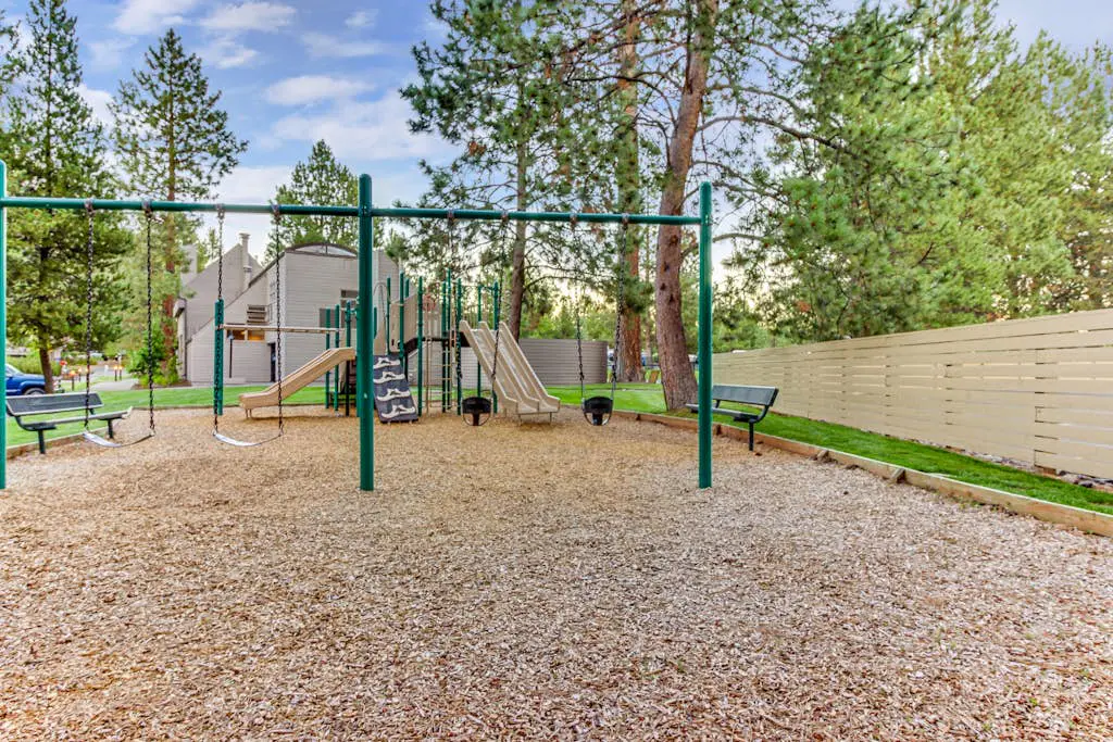 Adventures in Mount Bachelor #241