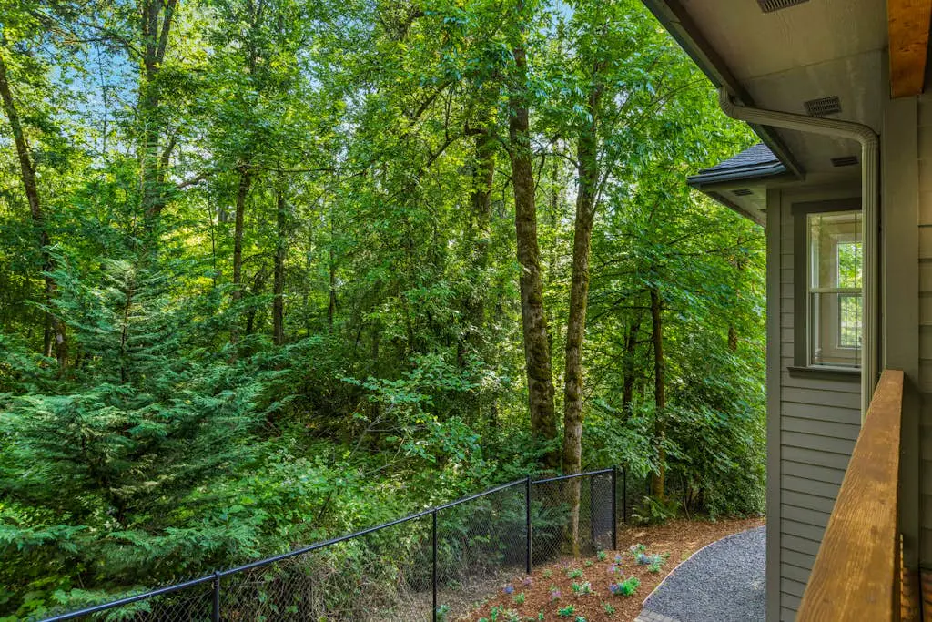 Campus Forest Retreat