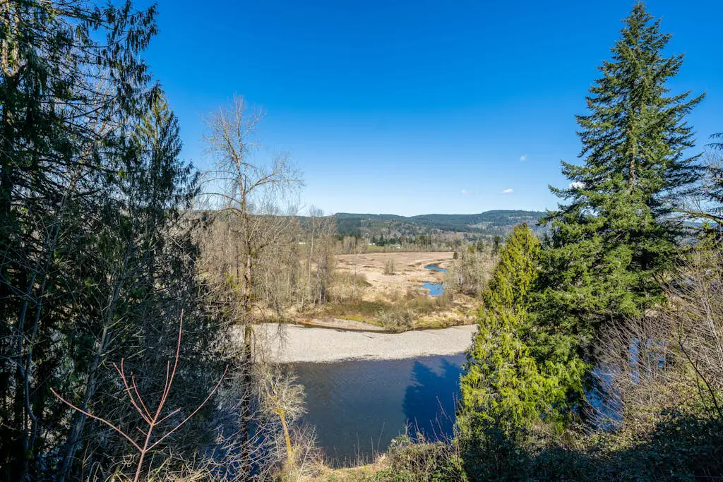 McKenzie View Cottage