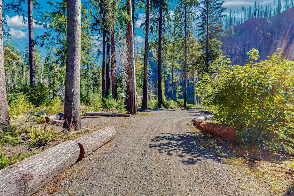 Amazing riverfront cabin with views, deck, firepit, & grill - dog-friendly