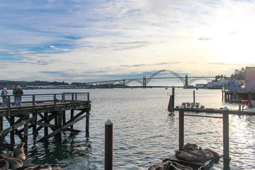 Harbor Hideaway #C301