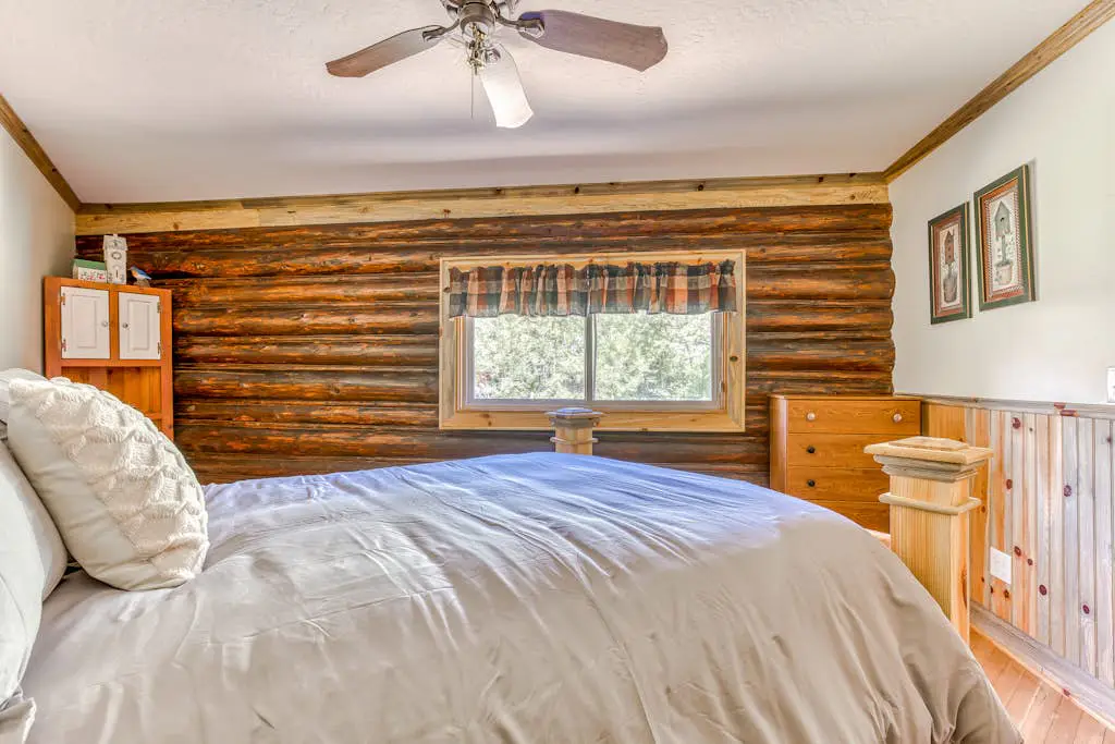 The Logs Birds Paradise