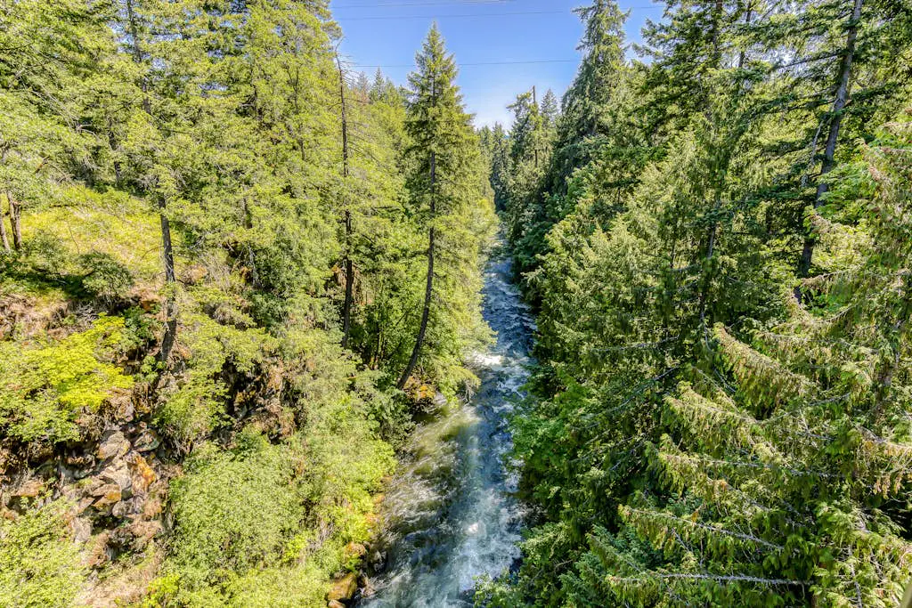 The Logs Birds Paradise