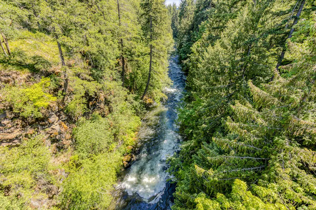 The Logs White Salmon