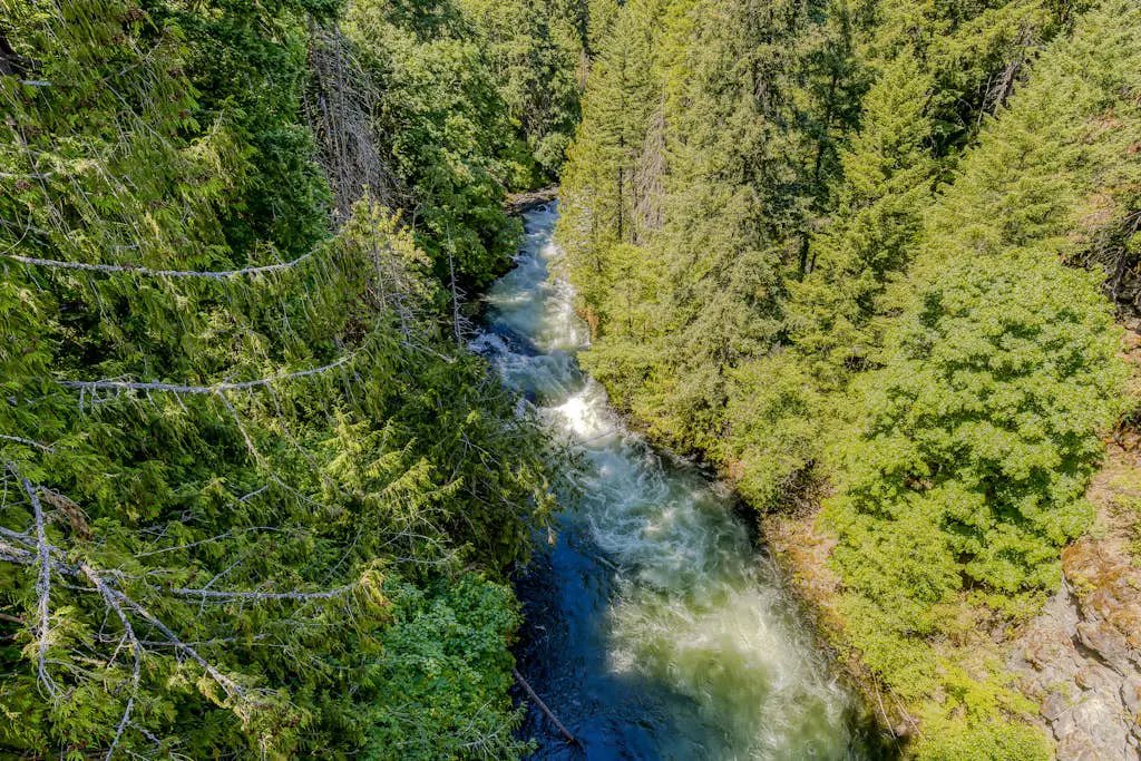 The Logs White Salmon