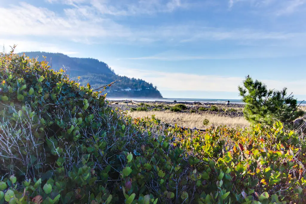 Spacious House with Entertainment Options & Very Close Beach Access
