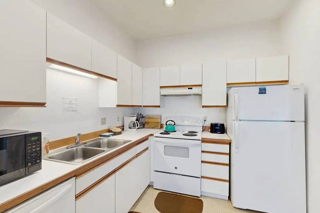 Near Beach condo w/ amazing ocean view - dogs OK
