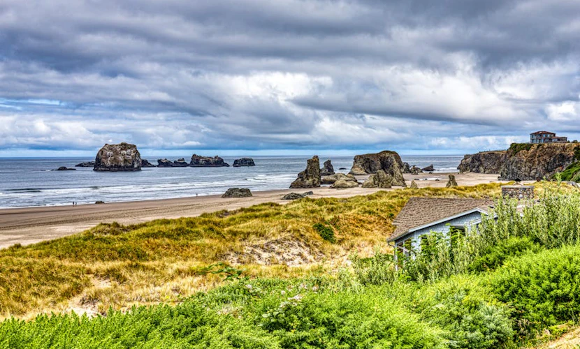 Inviting dog-friendly studio with unobstructed ocean views