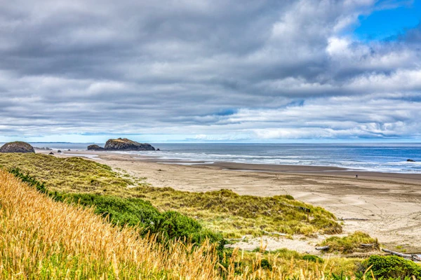 Inviting dog-friendly studio with unobstructed ocean views