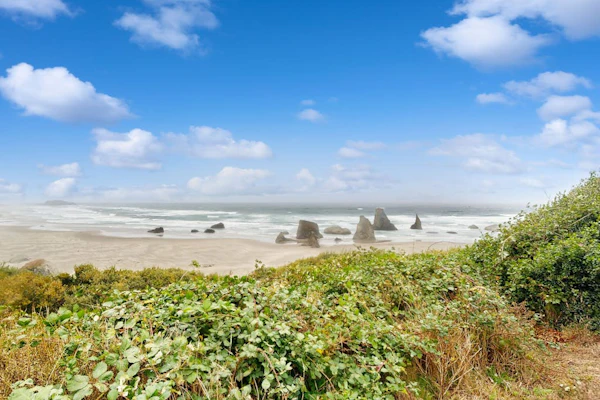 Beach Loop Condos